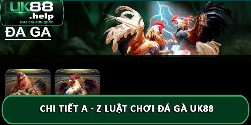 Chi tiết A - Z luật chơi đá gà UK88