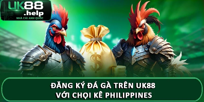 Đăng ký đá gà trên UK88 với chọi kê Philippines