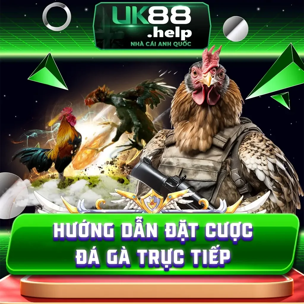 Hướng Dẫn Đặt Cược Đá Gà Trực Tiếp Tại Nhà Cái UK88