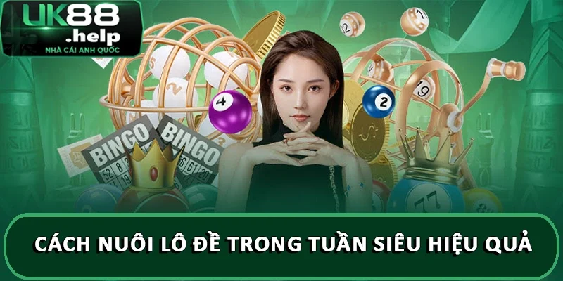 Cách nuôi lô đề trong tuần siêu hiệu quả 