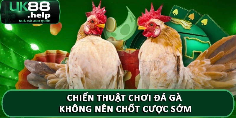 Tổng hợp kinh nghiệm chơi đá gà từ chuyên gia UK88 4 Chiến thuật chơi đá gà không nên chốt cược sớm