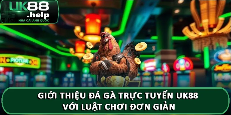 Giới thiệu đá gà trực tuyến UK88 uy tín, chất lượng