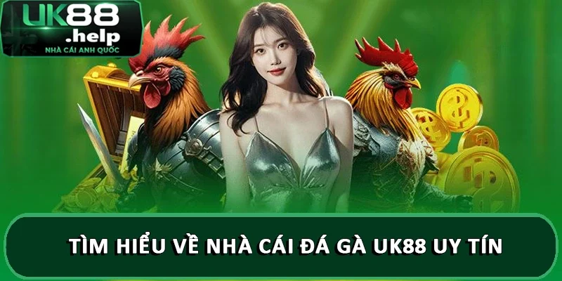 Tìm hiểu về nhà cái đá gà UK88 uy tín